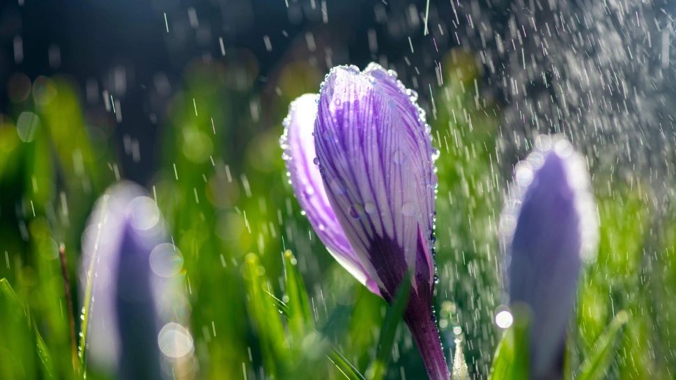 Vremea se răcește în Capitală! ANM anunță temperaturi sub normalul perioadei și percipitații mixte