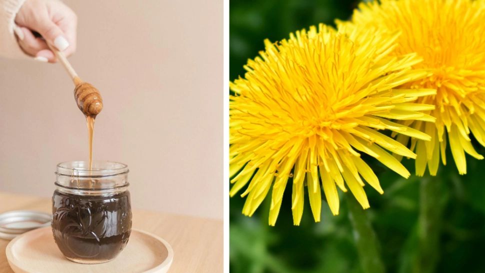 Siropul-minune făcut în mănăstiri: un elixir cu puteri tămăduitoare. Acum este sezonul când trebuie preparat