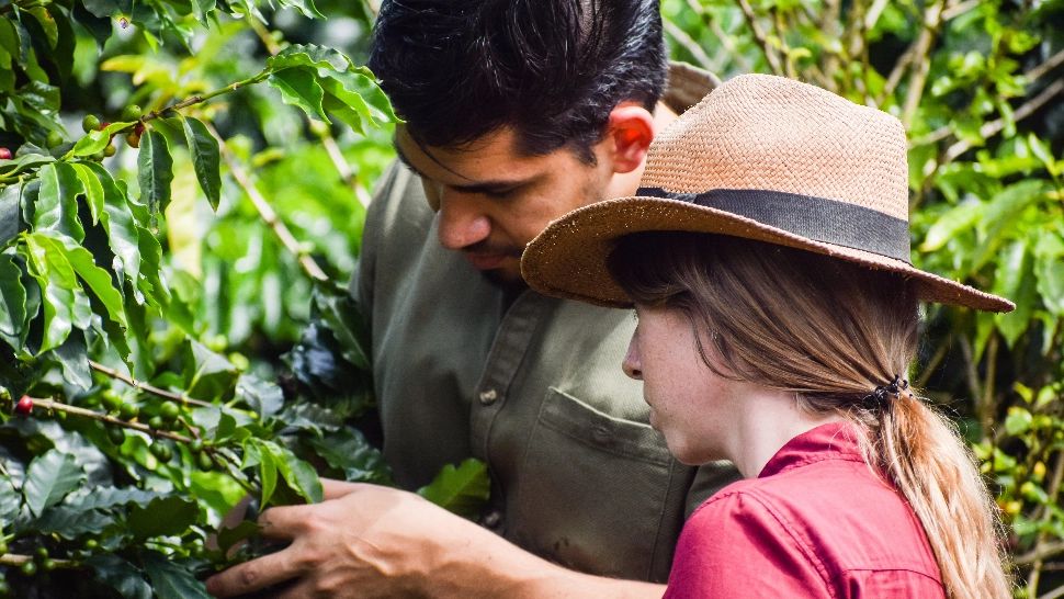 Criza îngrășămintelor îi pune pe butuci pe fermieri. Mâncarea românilor este în pericol