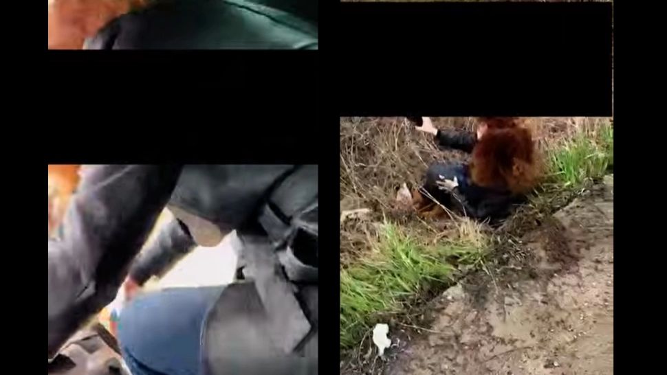 Scene șocante într-un Uber din Iași. O femeie s-a aruncat din mașină în mers, iar șoferul a început să o filmeze - VIDEO