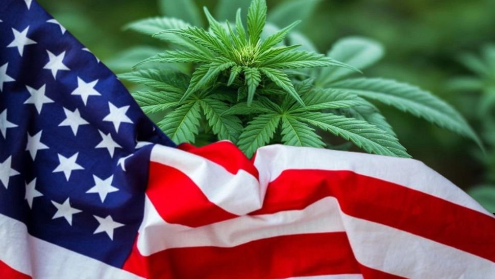 Administrația Trump face încă un pas spre dezincriminarea canabisului
