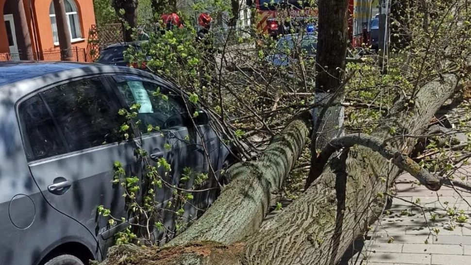 Vântul a făcut prăpăd la Botoșani! Mai multe acoperișuri smulse, copaci căzuți peste autoturisme și un stâlp de telefonie prăbușit