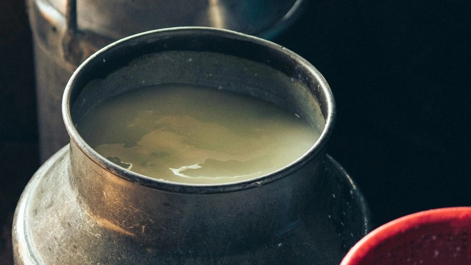 Băutura naturală care curăță ficatul, reduce colesterolul, susține digestia și ajută la pierderea în greutate. Este folosită ca remediu din cele mai vechi timpuri 