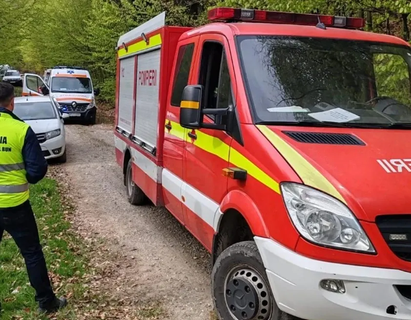 Bărbat mort după ce a fost strivit de un copac în județul Neamț