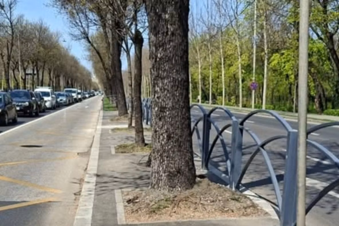 Amenzi uriașe pentru șoferii care merg pe banda de autobuz. Haos total în traficul din Capitală, polițiștii intervin urgent 