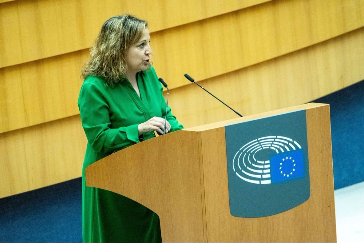 Lidera social-democraților europeni, intervenție în favoarea PSD în Parlamentul European