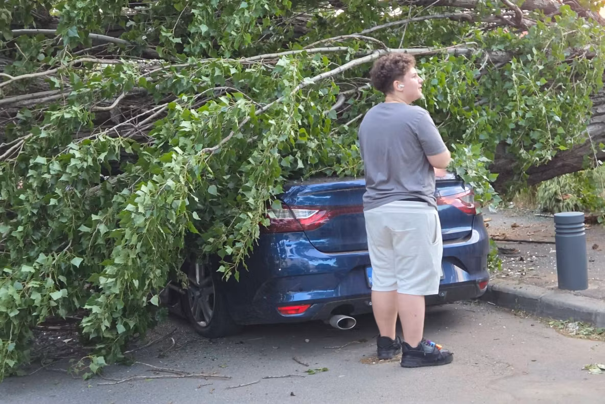 Vântul a făcut ravagii în București. Copaci doborâți la pământ în zona Bucureștii Noi, pe fondul avertizărilor meteo severe