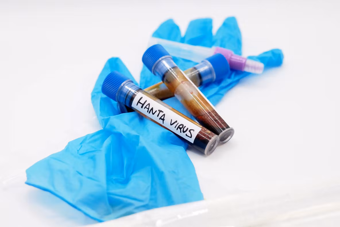 Focarul de hantavirus de pe nava de croazieră: risc global scăzut, fără noi decese. Situația, monitorizată de OMS