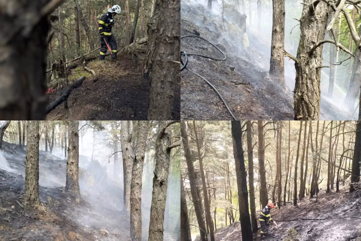 Incendiu de proporții în județul Sibiu. Flăcările au afectat 500 mp de vegetație uscată și litieră de pădure