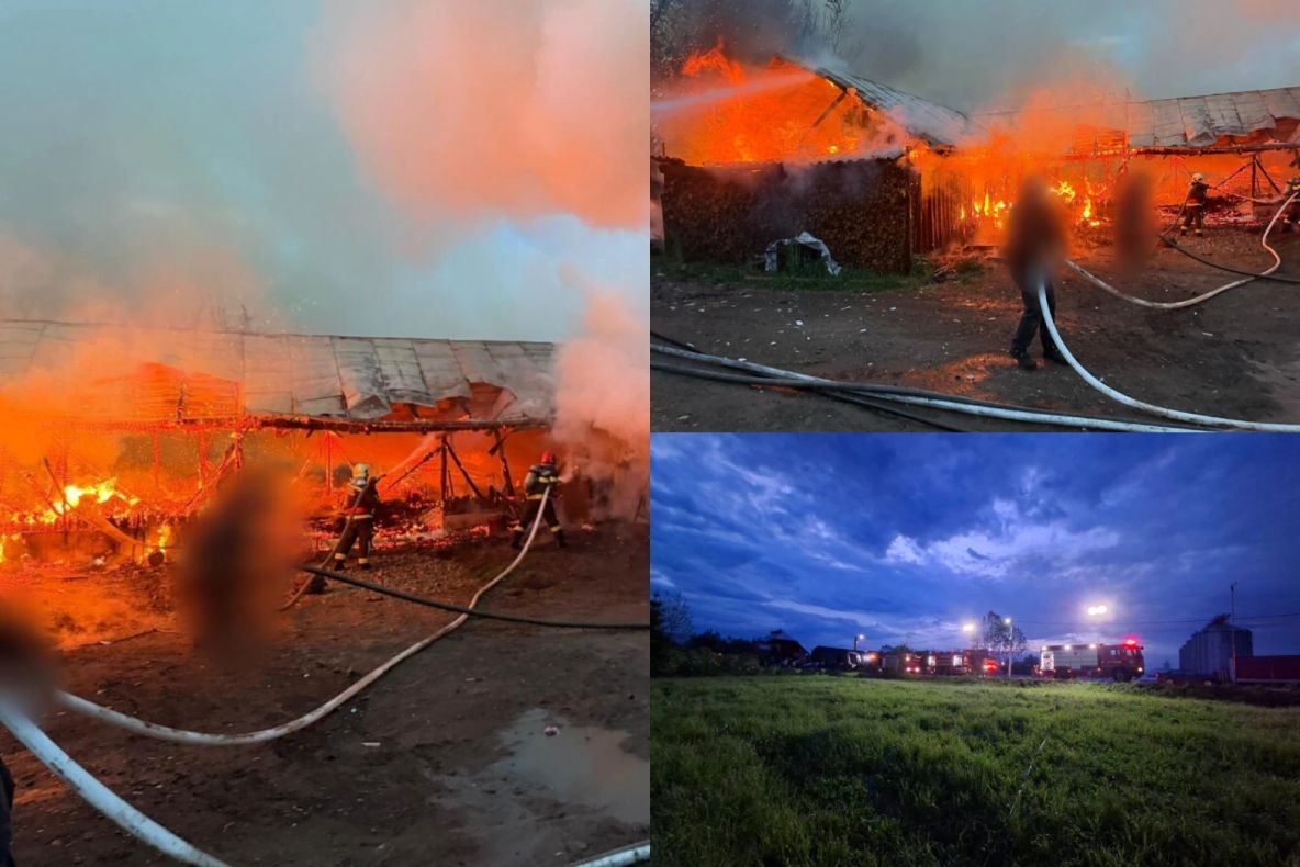 Incendiu violent în județul Suceava. Două adăposturi de animale au luat foc -VIDEO 
