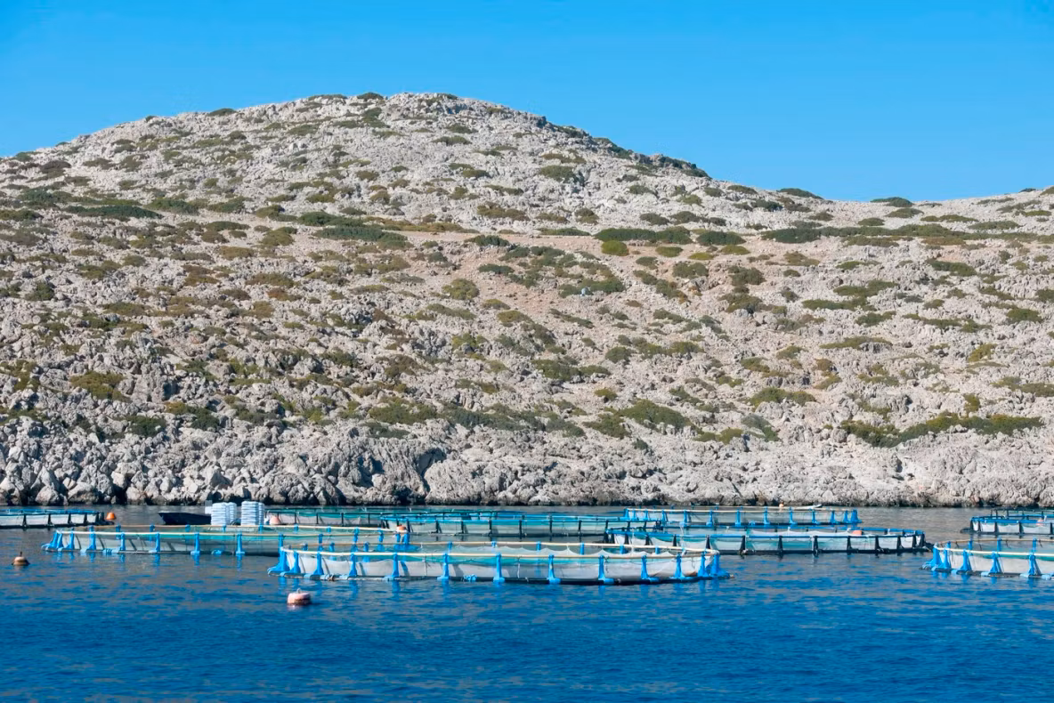 O insulă de lux din Grecia evaluată la 8 milioane de euro a ajuns să coste cât un apartament 