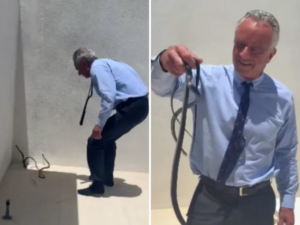 Robert F. Kennedy Jr. a prins doi șerpi cu mâna, dar americanii au râs de el:„Un vânzător de ulei de șarpe, printre șerpi”
