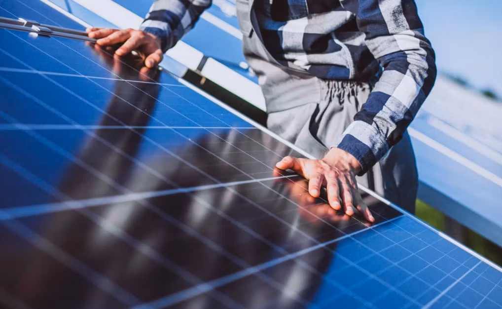 Hoțul care a dat atacul la „aurul verde”. Zeci de panouri fotovoltaice, furate în Timiș
