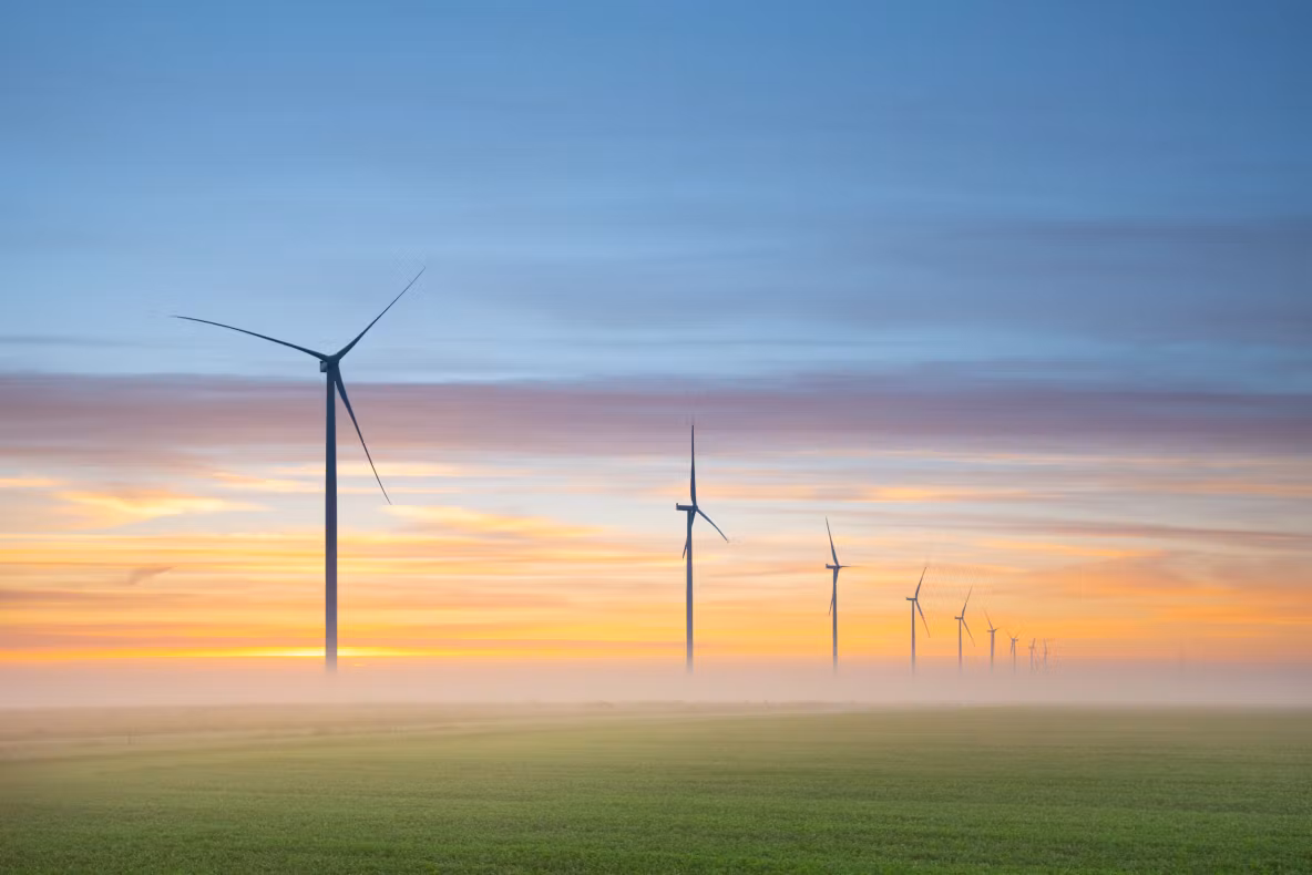 Parcurile fotovoltaice și eoliene îngroapă agricultura. Ultima lovitură a guvernului Bolojan