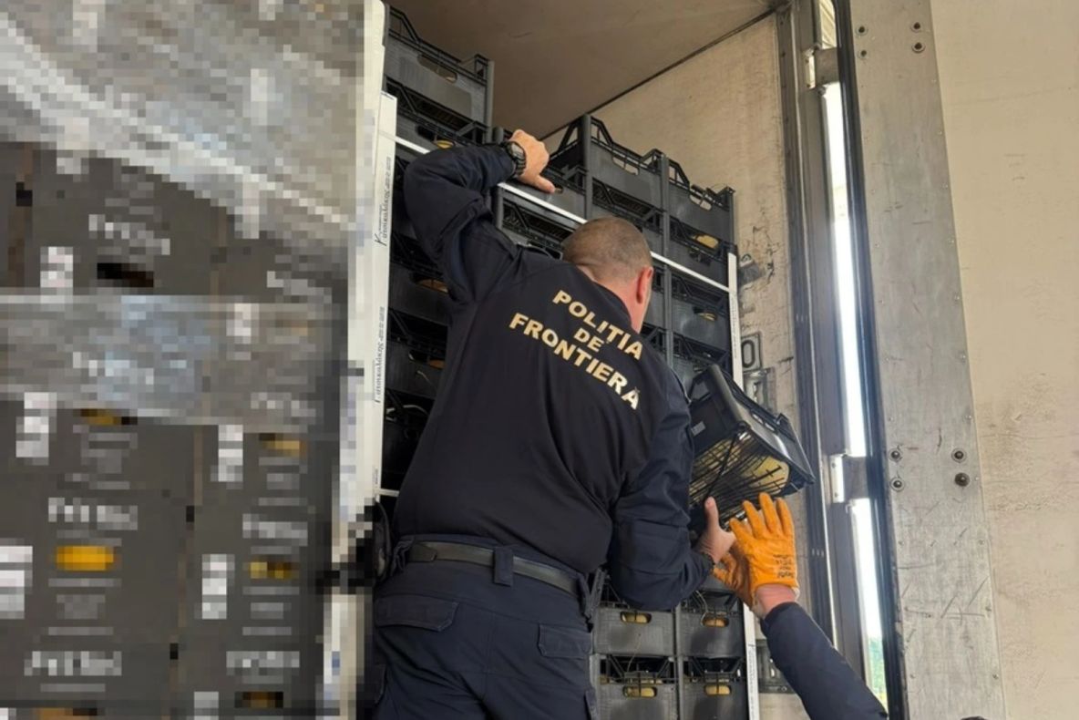 Captură record a polițiștilor de frontieră din Giurgiu. Peste şapte milioane de ţigarete, în valoare de peste 2 milioane de euro, ascunse într-un transport de citrice