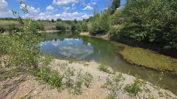 Copilul de 8 ani dispărut într-un lac din Arad a fost găsit mort. Băiatul era la scăldat împreună cu frații săi