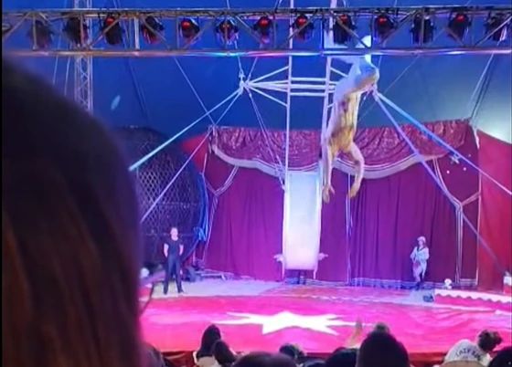 Clipe de coșmar la circ. Un acrobat s-a prăbușit de la înălțime în timpul spectacolului și a căzut peste spectatori - VIDEO