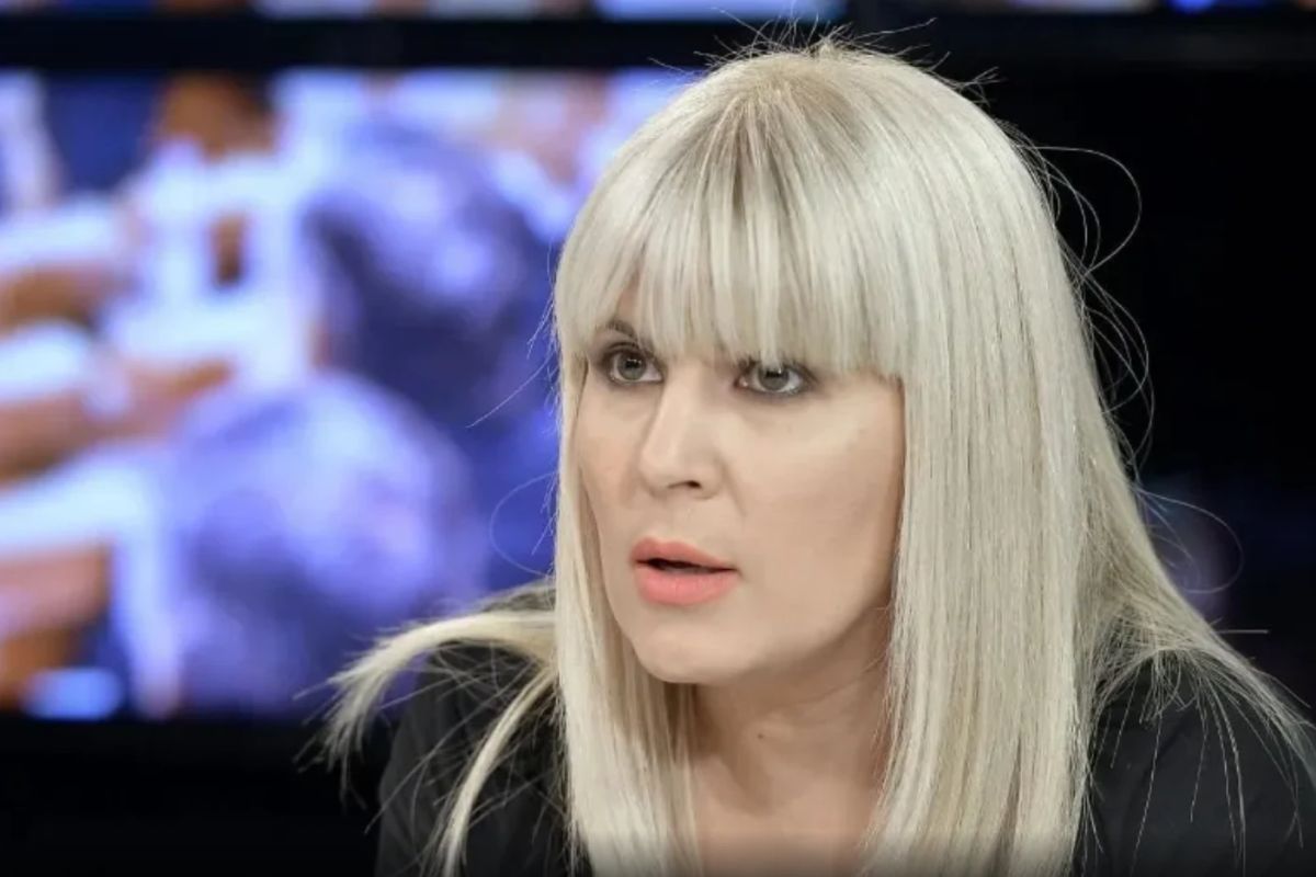 Elena Udrea declarație despre formarea noului Guvern: „Vom avea guvern, cu Luca Niculescu prim ministru”