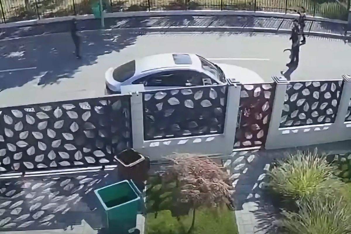 A furat din curtea unei case din Sectorul 6, apoi a scos cuțitul la polițiști. Oamenii legii au folosit armele pentru a-l opri