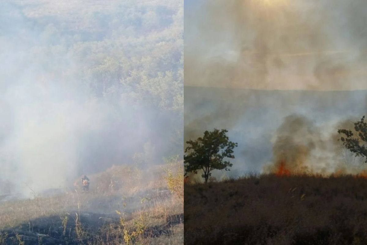 Incendiu de vegetație în județul Bacău. Aproximativ 50 de hectare de teren, mistuite de flăcări
