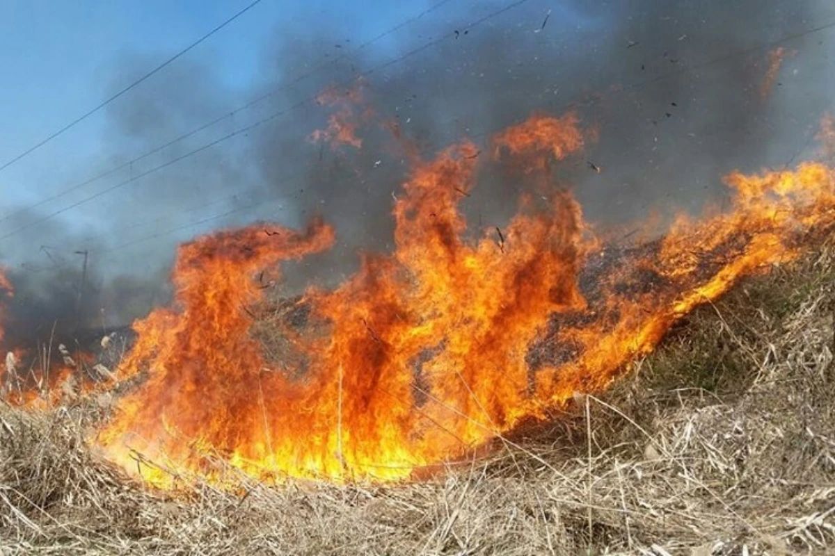 Incendiu de pădure în Vâlcea, în apropierea Mănăstirii Boia. Pompierii au identificat trei focare