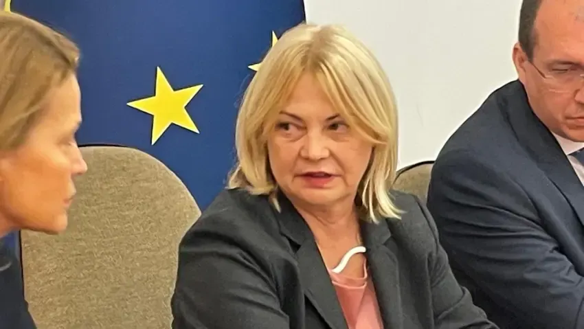 Percheziții la prefectul USR de Timiș. Cornelia Micicoi, vizată într-un dosar de fraudă cu fonduri europene
