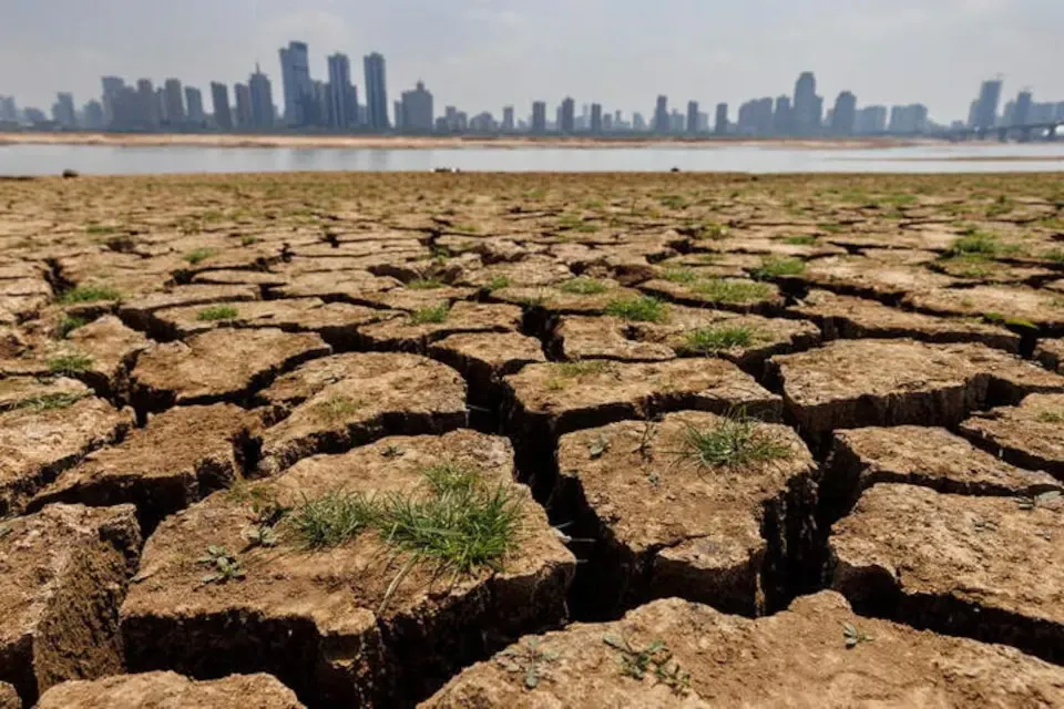 Scumpirile nu se opresc: El Niño poate reduce recoltele, iar prețurile alimentelor ar putea exploda