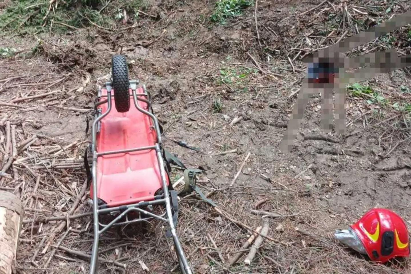 Bărbat de 30 de ani, ucis de un copac într-o pădure din Neamț. Salvatorii au încercat minute în șir să-i salveze viața