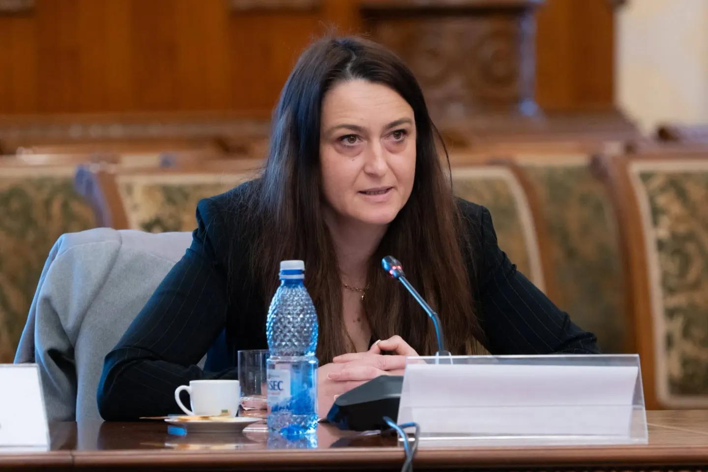 Cristina Butura (deputat AUR): „Deblocăm angajările în spitale. Personalul medical nu mai stă la mila memorandumurilor Guvernului”