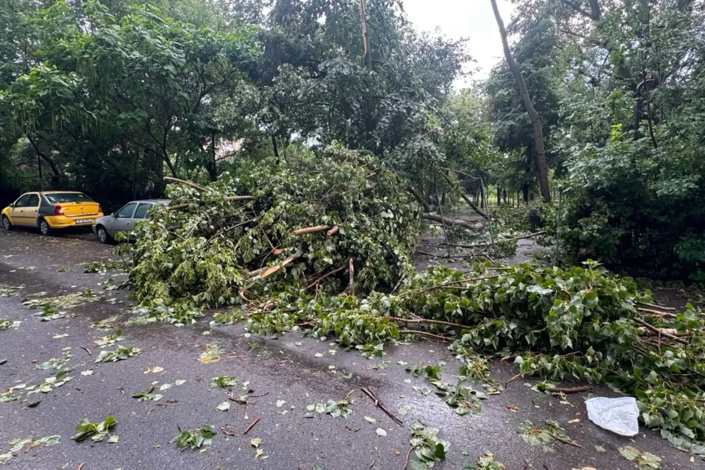 Bucureștiul, sub dublă avertizare meteo: 35 de grade, apoi ploi torențiale și vijelii de până la 70 km/h