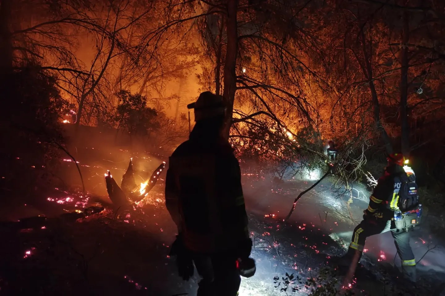 Pompierii români, la prima intervenție în Franța: au ajutat la stingerea unui incendiu de pădure