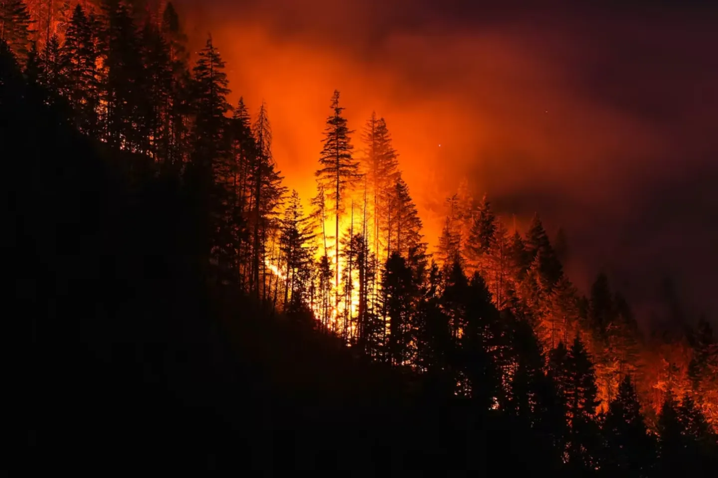 Incendii devastatoare în Spania și Franța: peste 250.000 de oameni evacuați, iar flăcările se apropie de Bordeaux