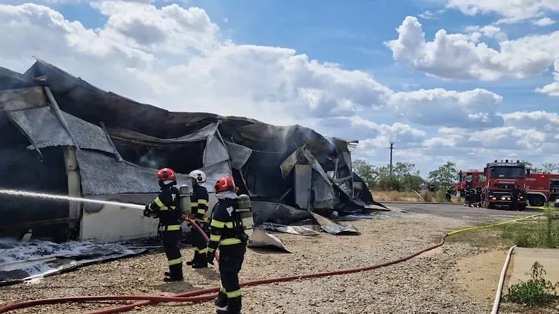 Incendiu violent la o fabrică de mobilă de lângă Oradea. Peste 30 de pompieri intervin