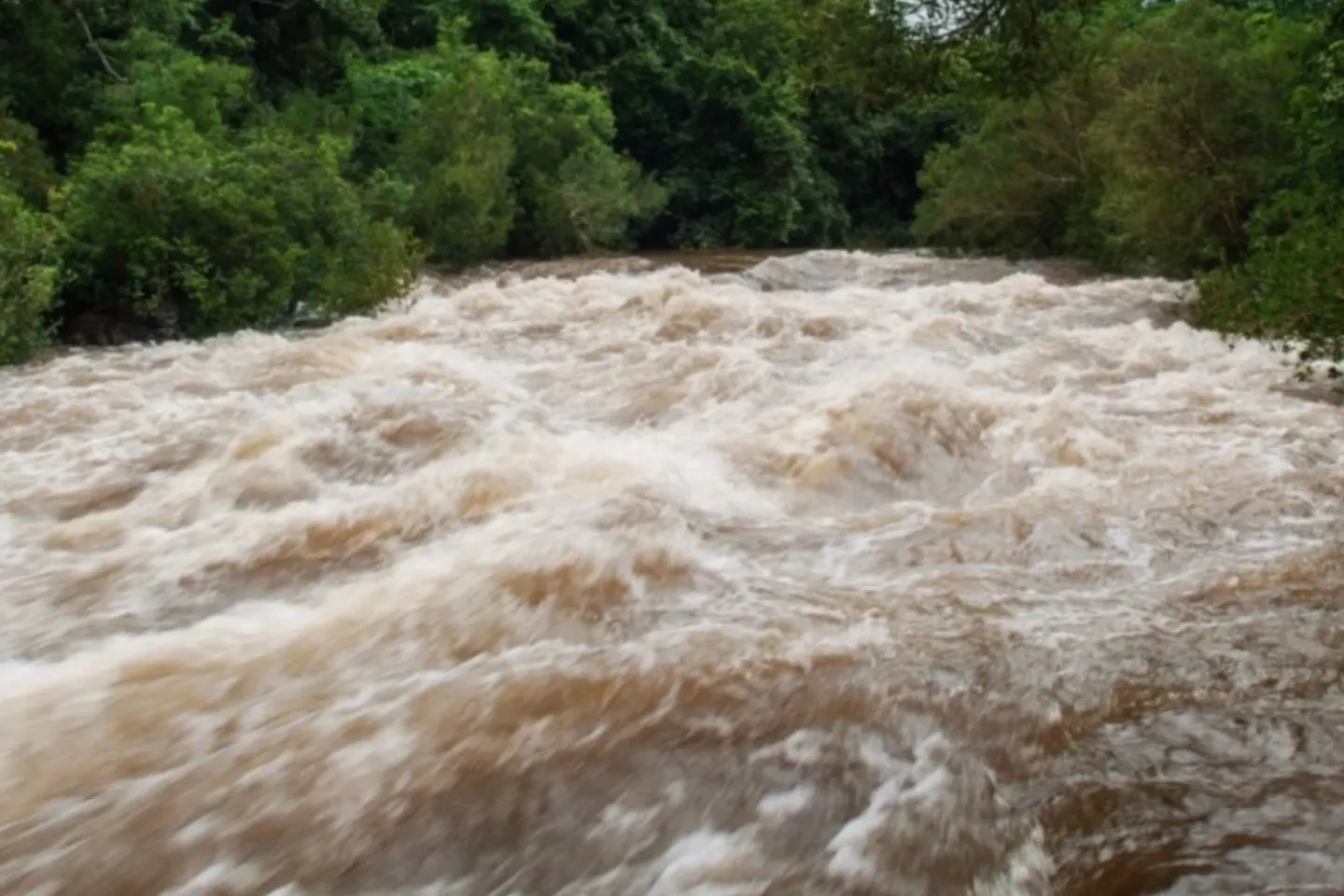 Alertă hidrologică. Cod galben de viituri în cinci judeţe din nordul ţării, până marți dimineață 