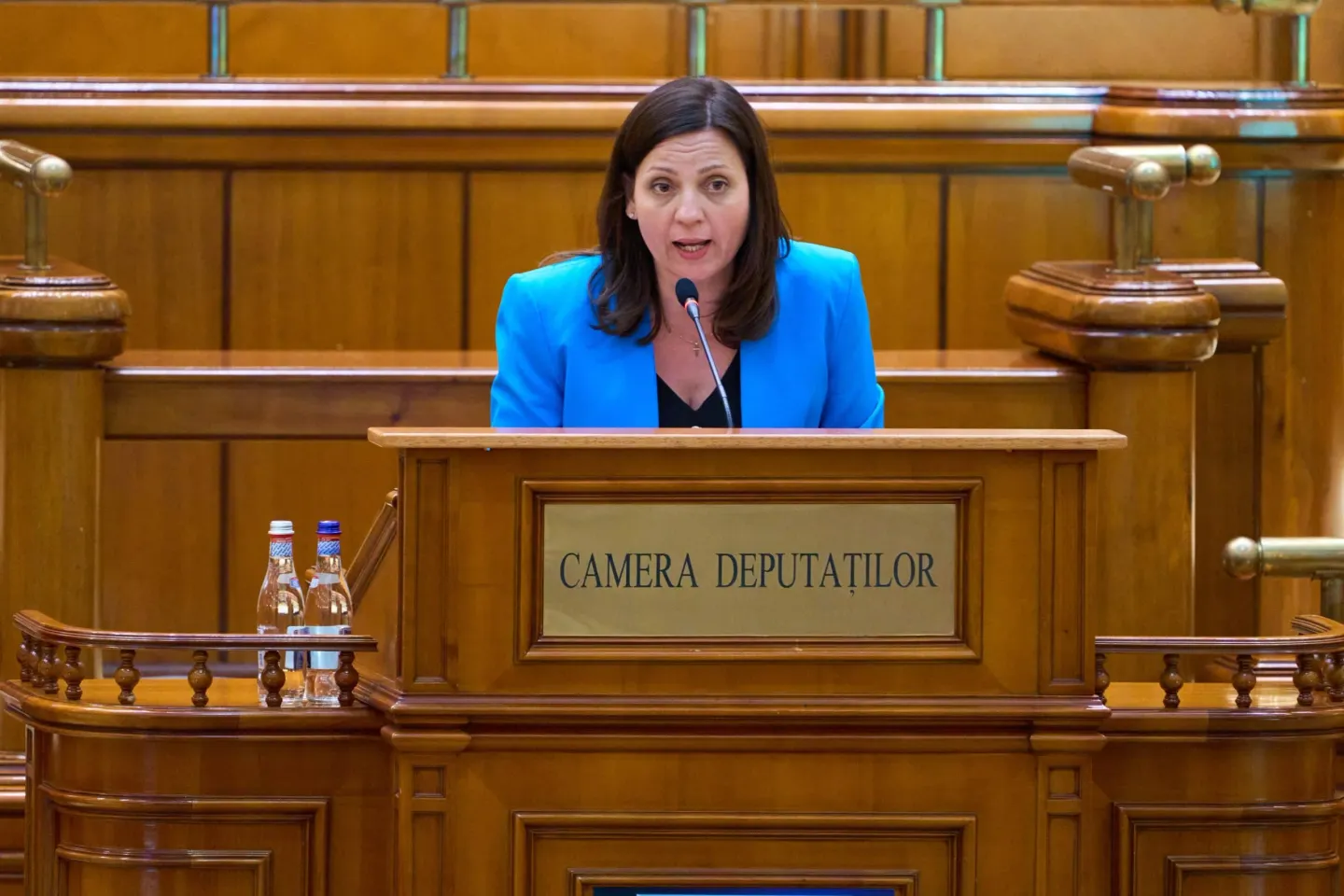 Ionelia Priescu (deputat AUR): „PNL îi pune pe demnitari mai presus de medici și profesori. Cinismul Cristinei Trăilă arată adevărata filosofie a coaliției din care face parte”