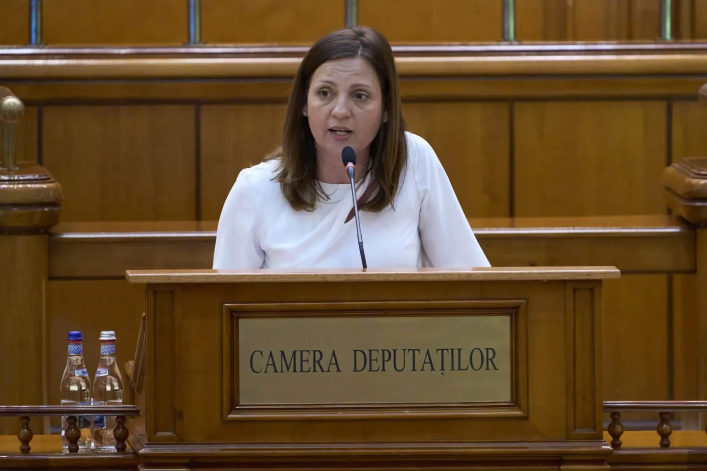 Ionelia Priescu (deputat AUR): „Virgil Popescu atacă AUR, dar uită că el a explodat facturile la energie pentru milioane de români”