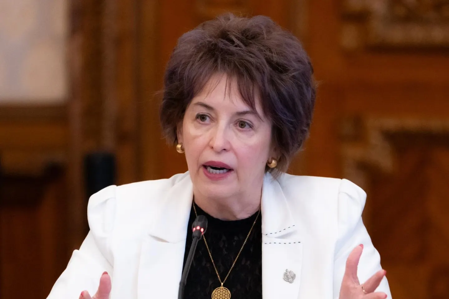 Niculina Stelea (senator AUR): „Nu vă mai ascundeți în spatele ratingului Moody’s, românii simt criza în fiecare zi”