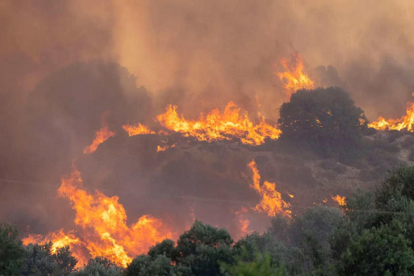 Incendii masive de vegetație în Serbia. Fumul a ajuns până în capitala Bulgariei