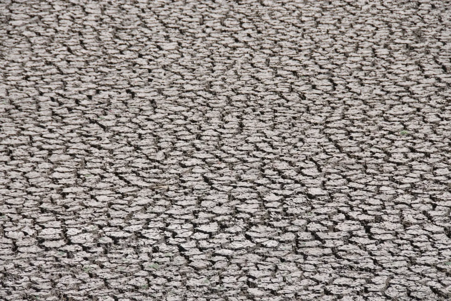 Alertă climatică: El Nino, aproape de un record istoric. Secetă, inundații și caniculă