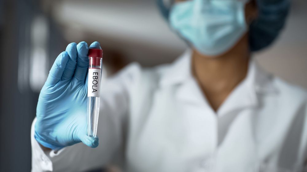 Alertă de la Organizația Mondială a Sănătății: Epidemia de Ebola scapă de sub control în Africa