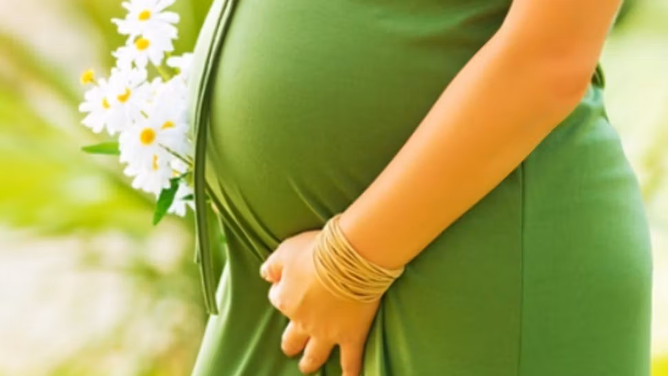 Vouchere de 15.000 de lei pentru fertilizare in vitro: Guvernul a aprobat programul până în 2030. Cine sunt beneficiarii și cum se depun dosarele online