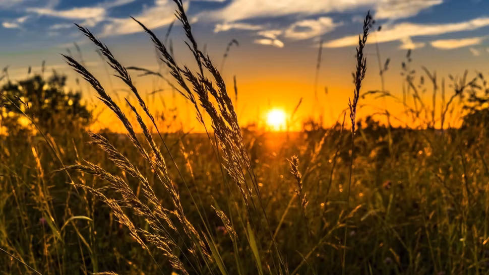 Domul de caniculă lovește România, temperaturi extreme în termometre