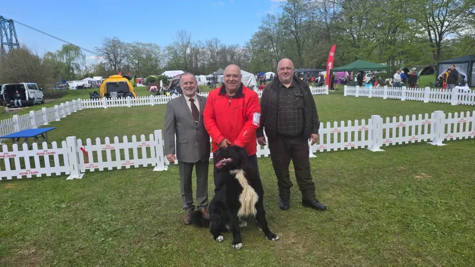 Succes răsunător pentru rasa Ciobănesc Corb la Campionatul Chinologic Național și Internațional de la Ploiești FOTO