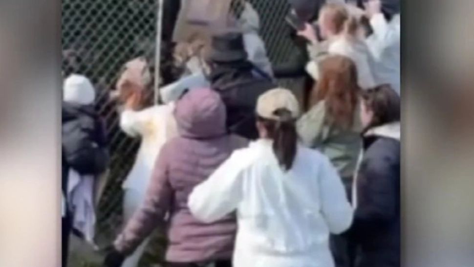 Protest violent la un adăpost de câini. Bătaie cu poliția