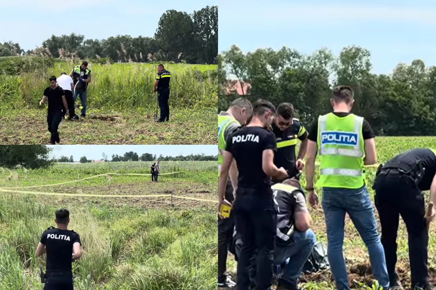 Descoperire macabră în județul Maramureș. Un craniu uman și un picior au fost găsite pe un câmp-VIDEO
