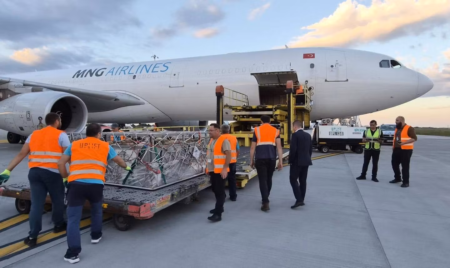 Oile românești ajung în Algeria cu avionul. Primul zbor cargo, finalizat în două ore și jumătate