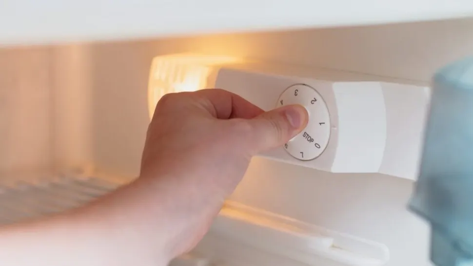 Cum trebuie reglat frigiderul la sfârșitul verii. Setarea care poate crește inutil consumul de energie 