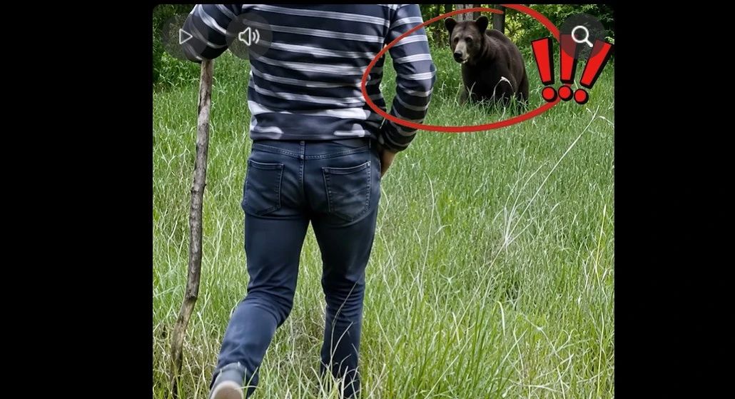 „Dă-i în cap!” Momentul șocant în care un bărbat atacă un urs cu o lopată, încurajat de martori VIDEO