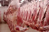 România negociază cu Turcia un coridor pentru exportul de carne către Orientul Mijlociu