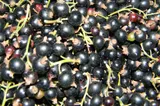 Fructul de sezon, cu proprietăți uimitoare pentru sănătate. De ce îl recomandă specialiștii